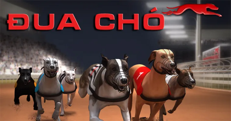 Cách Chơi Game Nhanh Đua Chó Tại RikVip Chi Tiết Cho Người Mới